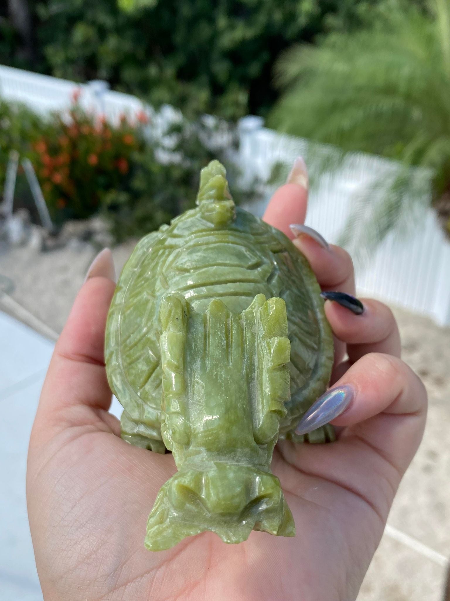 Natural Jade Dragon Turtle