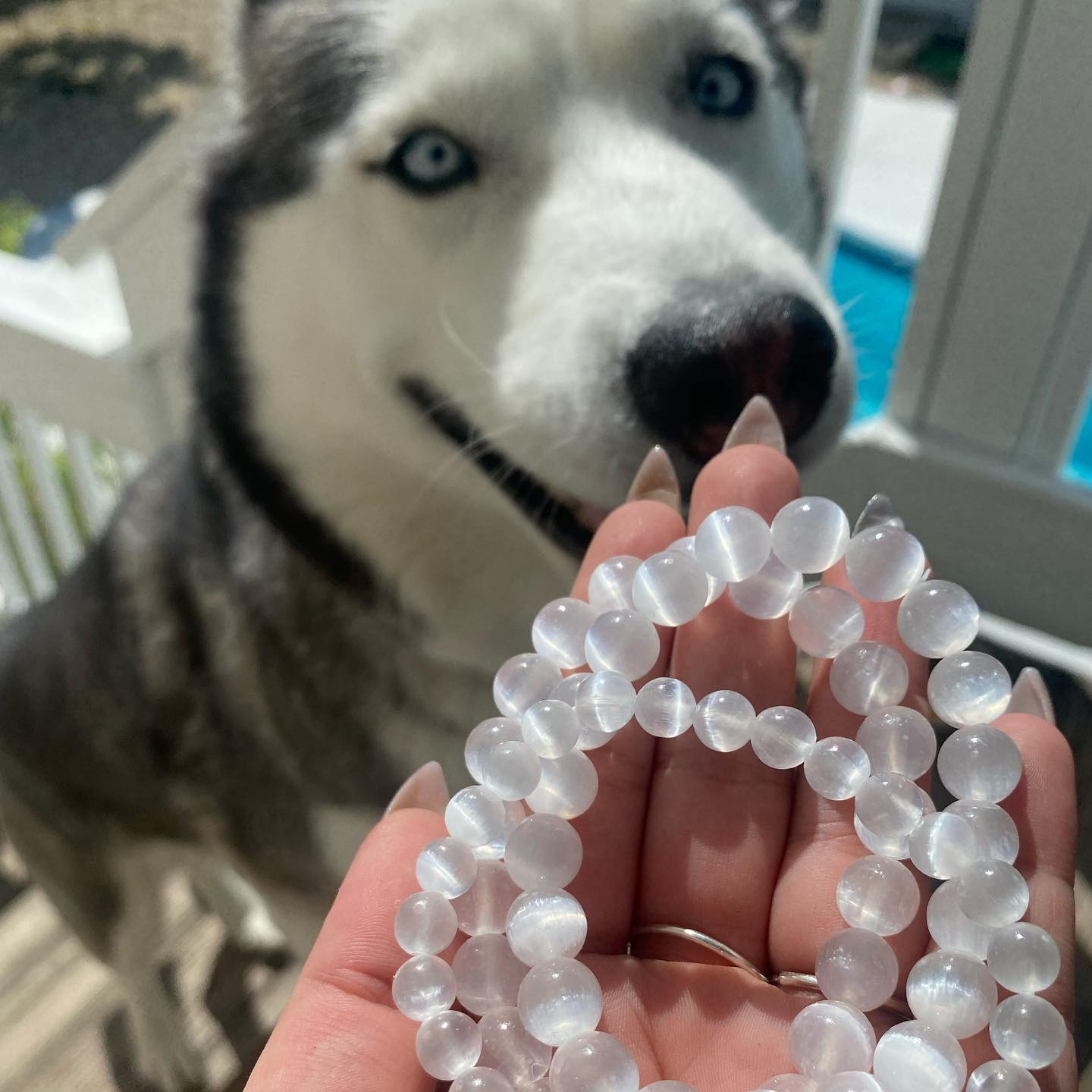 Selenite Healing Bracelet