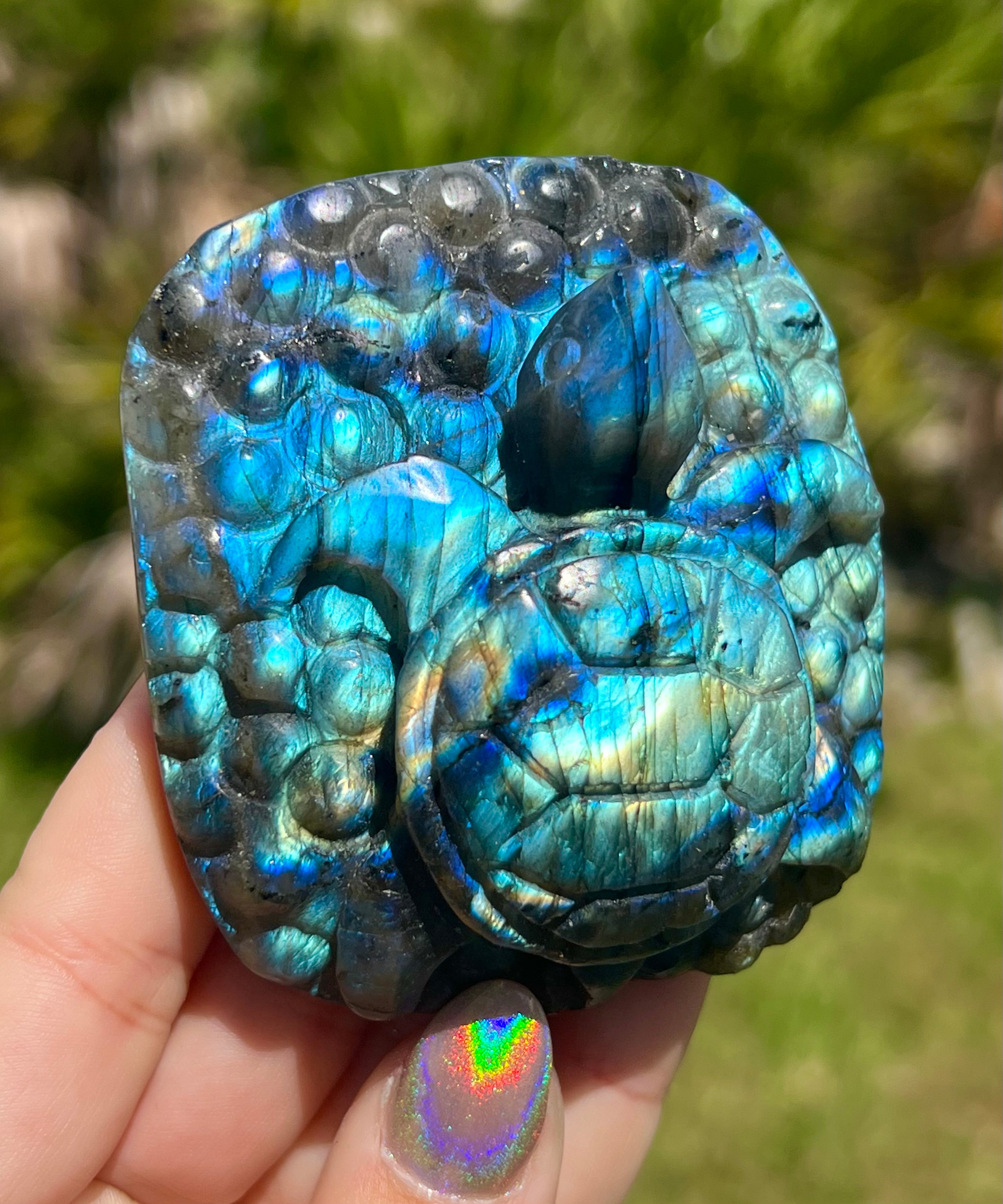 Labradorite Magical Turtle Carving