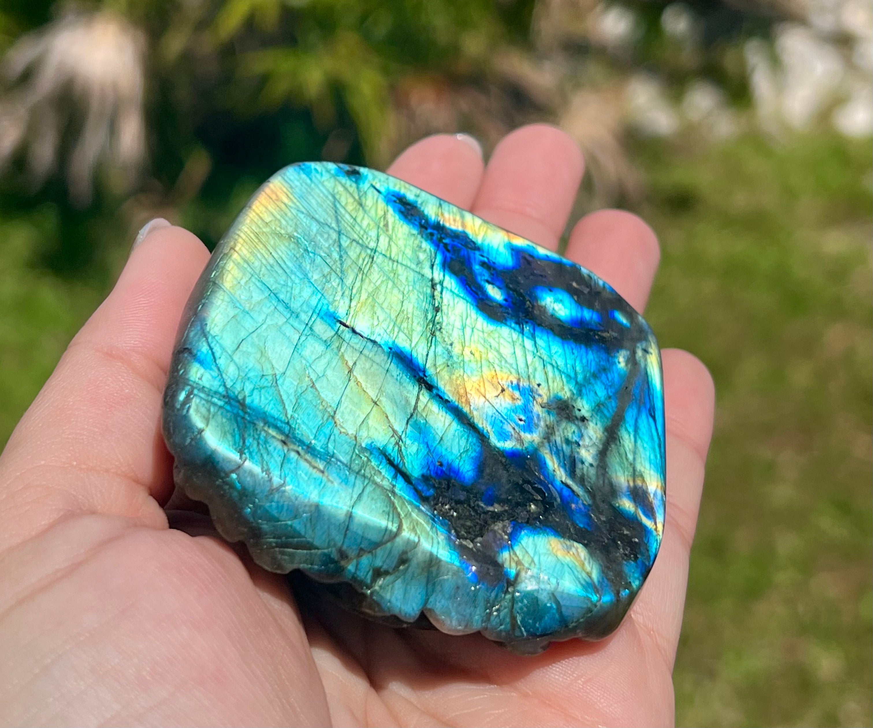 Labradorite Magical Turtle Carving